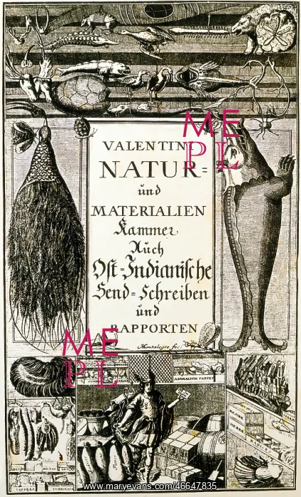 : Valentini, Michael Bernhard, 26.11.1657 - 13.3.1729 : Valentini, Michael Bernhard, 26.11.1657 - 13.3.1729