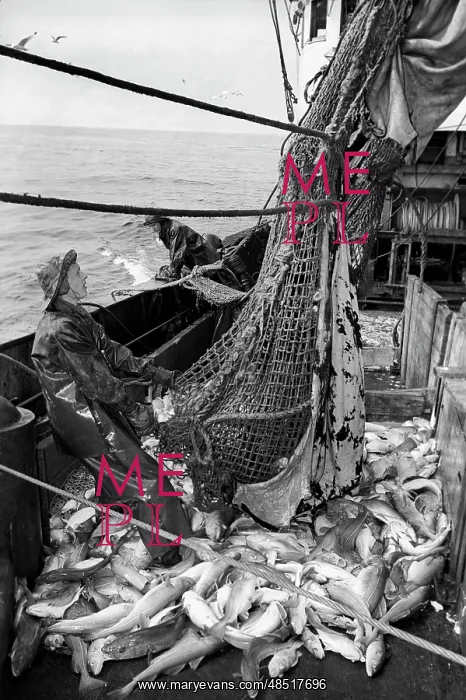 : Valery Chkalov trawler : Valery Chkalov trawler