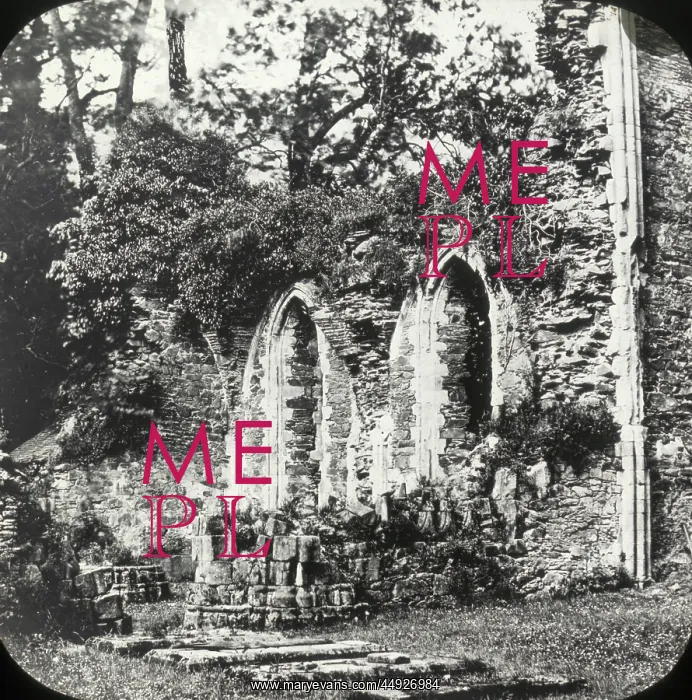 : Valle Crucis Abbey : Valle Crucis Abbey