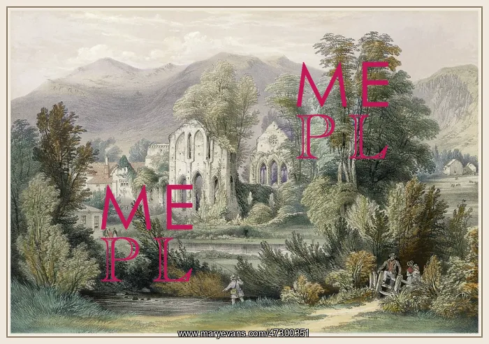  : VALLE CRUCIS ABBEY C1850