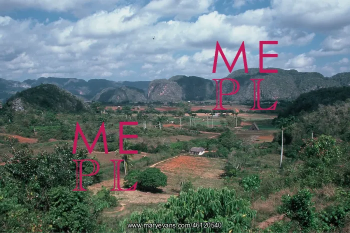 : Valle de Vinales - Plantations of tobacco : Valle de Vinales - Plantations of tobacco