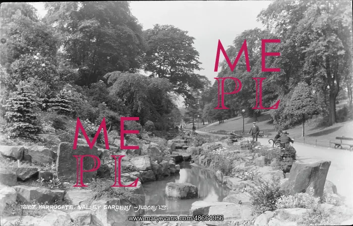 : Valley Gardens in Harrogate : Valley Gardens in Harrogate