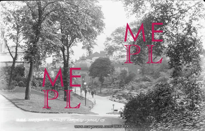 : Valley Gardens in Harrogate : Valley Gardens in Harrogate