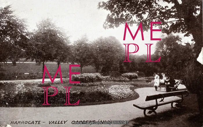 : Valley Gardens, Harrogate, Yorkshire : Valley Gardens, Harrogate, Yorkshire