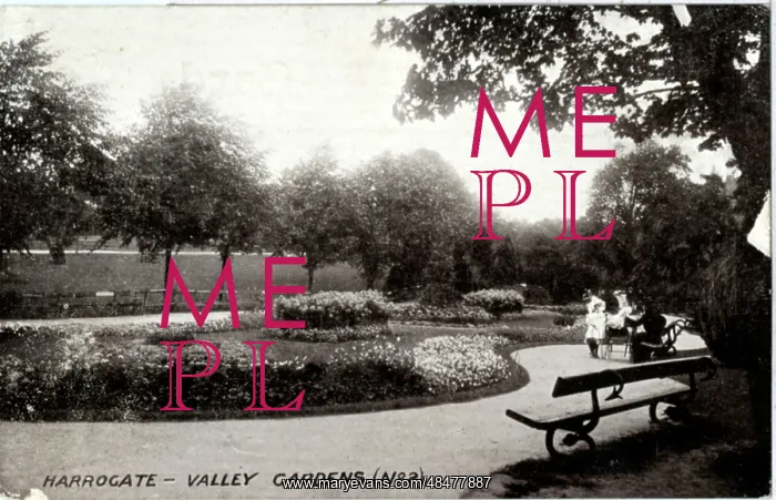 : Valley Gardens, Harrogate, Yorkshire : Valley Gardens, Harrogate, Yorkshire