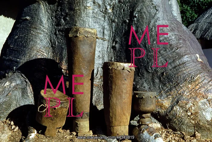 : Valley Tonga drum set standing at base of Baobab tree : Valley Tonga drum set standing at base of Baobab tree
