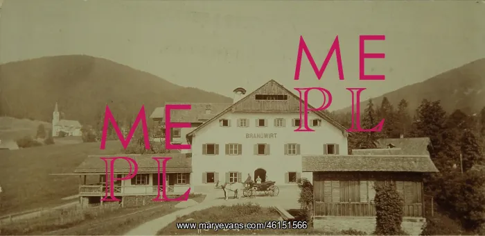  : VALUE!. Gosau. Brandwirt. 1899. Photograph