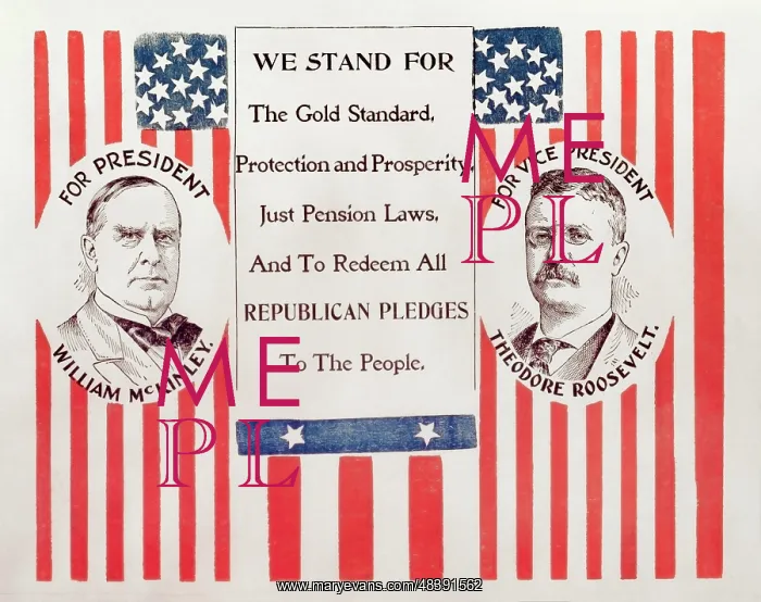 : #VALUE!. William McKinley, the 25th president of the U.S : #VALUE!. William McKinley, the 25th president of the U.S