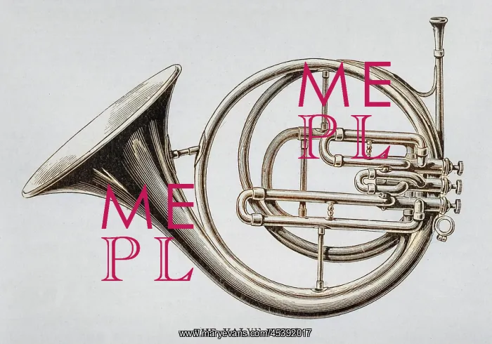 : Valve Horn on its Own : Valve Horn on its Own