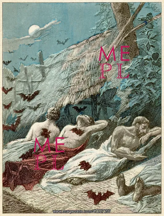 : VAMPIRE BATS : VAMPIRE BATS