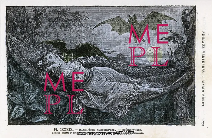  : VAMPIRE BATS / RENGADE