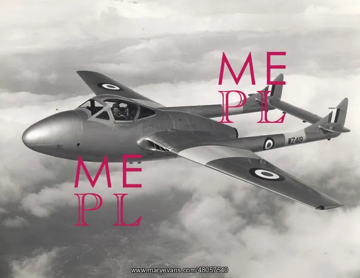 : The Vampire Trainer development aircraft WZ419 : The Vampire Trainer development aircraft WZ419