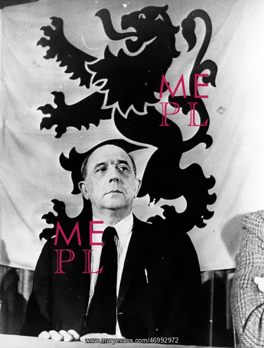 : Van Der Elst : Van Der Elst