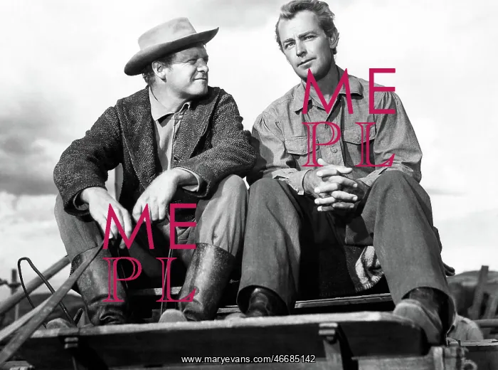 : Van Heflin - Alan Ladd man : Van Heflin - Alan Ladd man