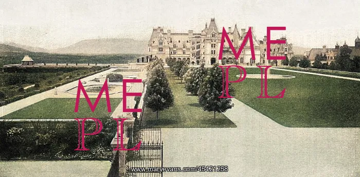 : VANDERBILT BILTMORE : VANDERBILT BILTMORE