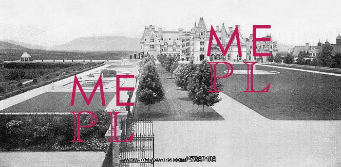 : VANDERBILT BILTMORE : VANDERBILT BILTMORE