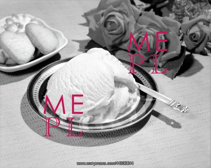  : Vanilla Ice Cream