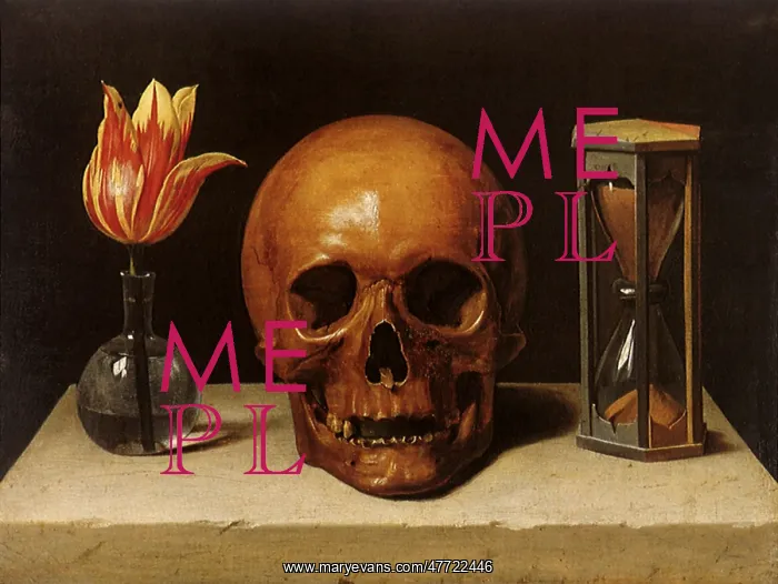  : Vanitas