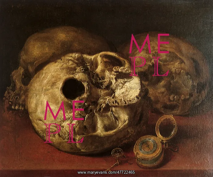  : Vanitas