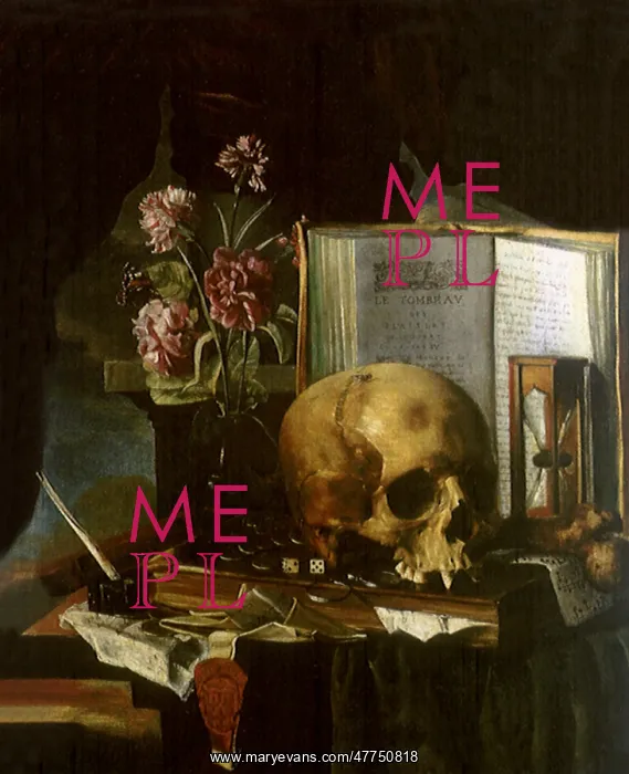  : Vanitas