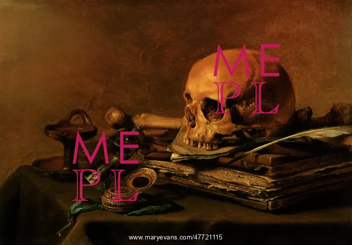 : Vanitas Still Life : Vanitas Still Life