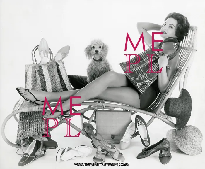 : Vanity Fair - Accessories - Sarah Skinner : Vanity Fair - Accessories - Sarah Skinner