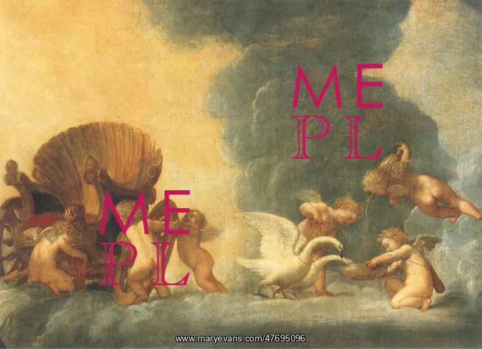  : The Vanity of Venus