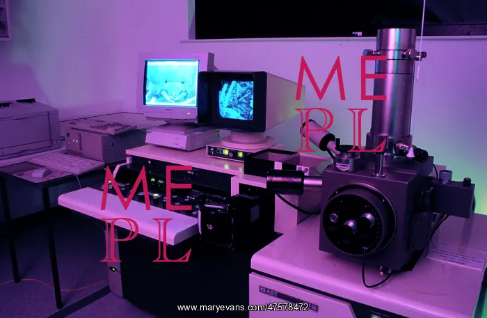 : Variable pressure scanning electron microscope : Variable pressure scanning electron microscope