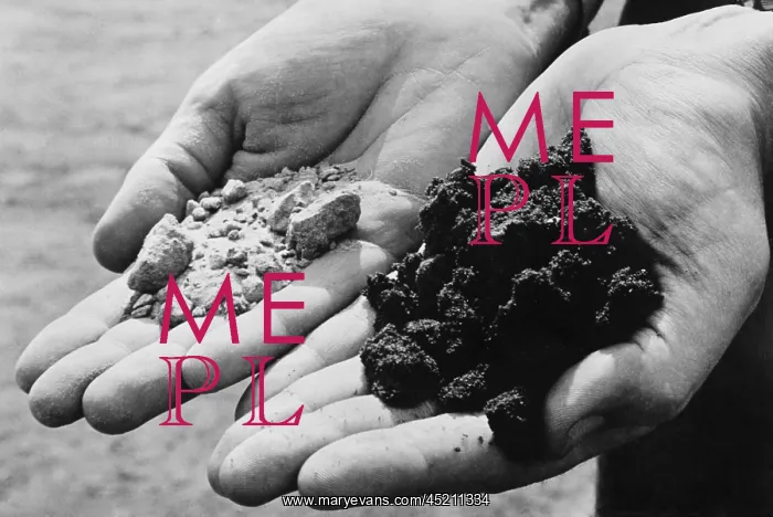 : Two varieties of sand from an oil drilling ? : Two varieties of sand from an oil drilling ?