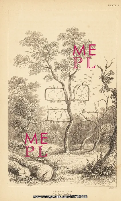 : Varieties of wire traps for bird catching : Varieties of wire traps for bird catching