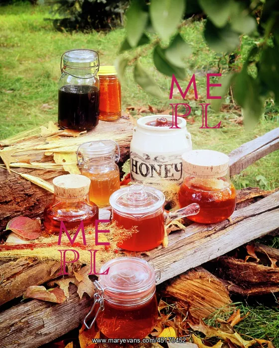 : Variety of Jars and Containers Filled with Honey : Variety of Jars and Containers Filled with Honey