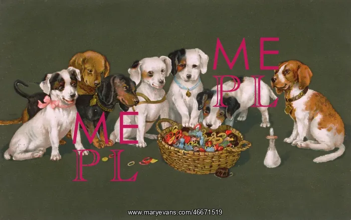: A variety of Puppies eyeing up a basket of threads : A variety of Puppies eyeing up a basket of threads