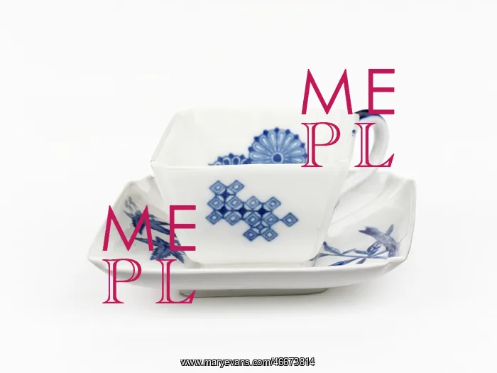 : Variety tea cup and saucer : Variety tea cup and saucer