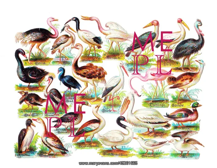 : Various birds on a sheet of Victorian scraps