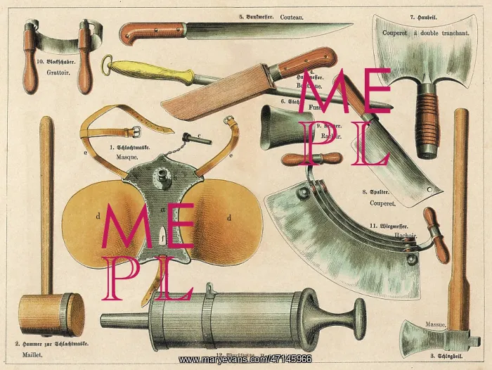 : Various butchery tools : Various butchery tools