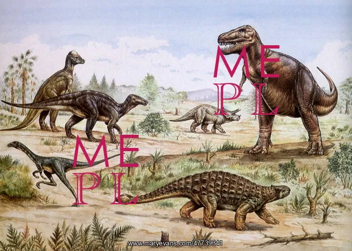 : Various Dinosaurs in the Late Cretaceous Period : Various Dinosaurs in the Late Cretaceous Period