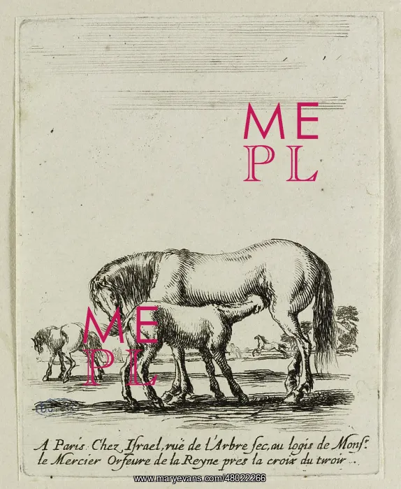 : Various exercises of cavalry : Various exercises of cavalry