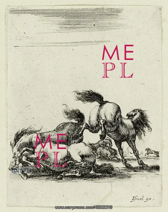  : Various exercises of cavalry