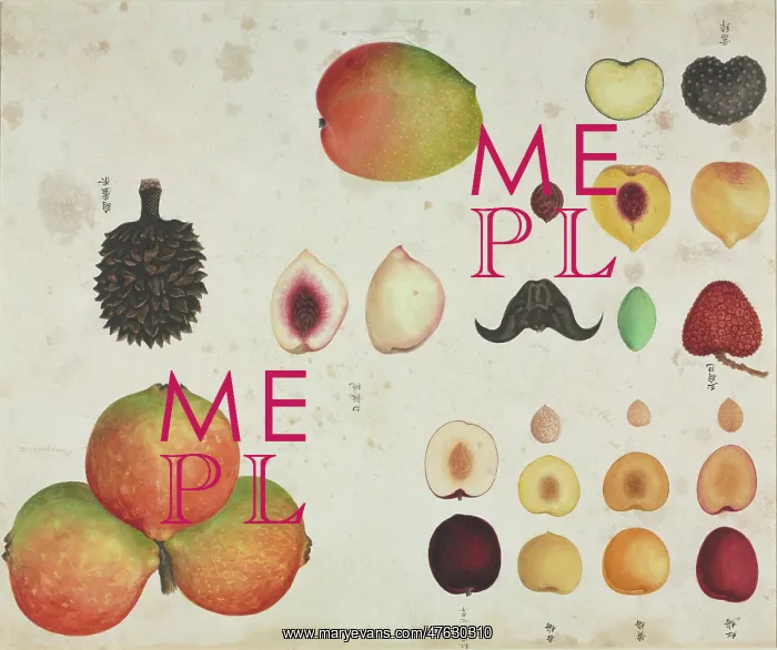 : Various fruits : Various fruits