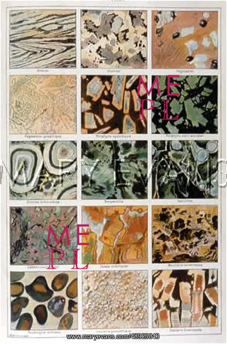 : VARIOUS ROCKS : VARIOUS ROCKS