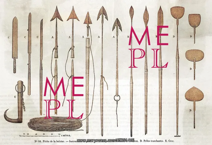  : VARIOUS WHALING ITEMS