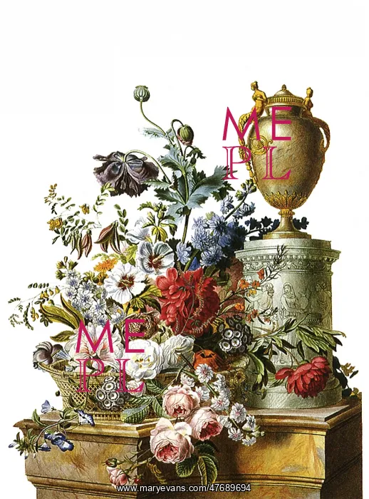 : A Vase of Flowers : A Vase of Flowers