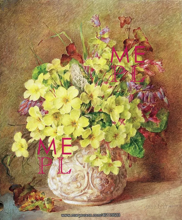  : Vase of Primroses