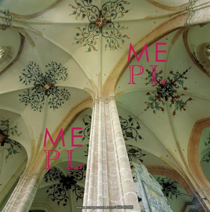 : Vault of the hall chruch of Neuberg : Vault of the hall chruch of Neuberg