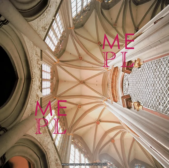 : Vault in the minster : Vault in the minster