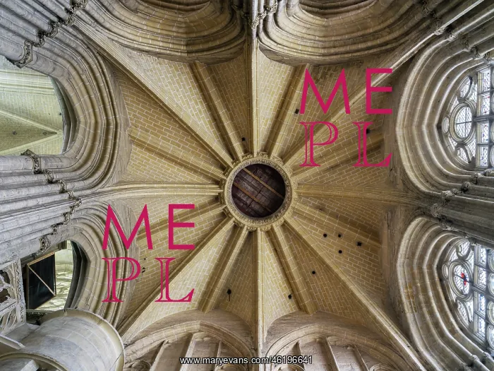 : Vaulted ceiling, Cathedrale Saint-Etienne, Meaux, France : Vaulted ceiling, Cathedrale Saint-Etienne, Meaux, France