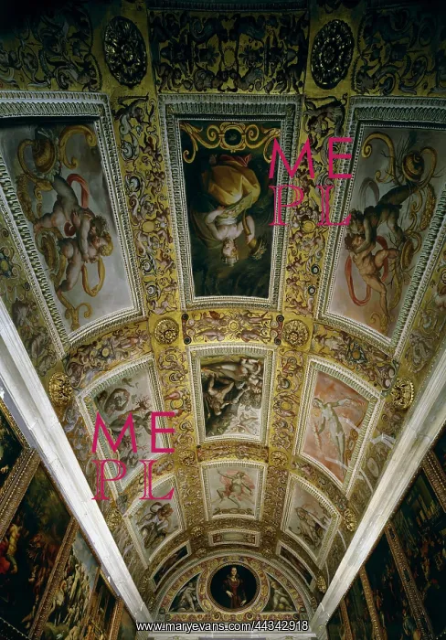 : Vaulted ceiling of Francesco I's : Vaulted ceiling of Francesco I's