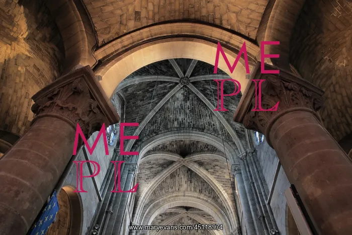 : Vaulted ceiling, nave, Collegiale Notre-Dame de : Vaulted ceiling, nave, Collegiale Notre-Dame de