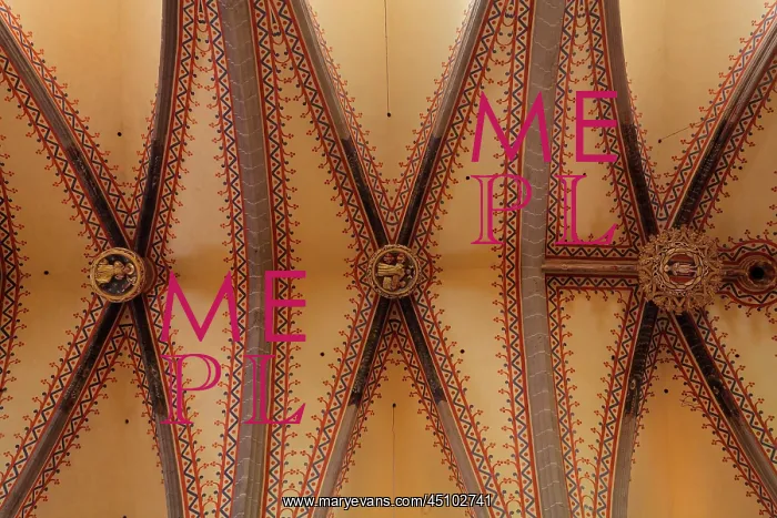 : Vaulted ceiling, Perpignan Cathedral, Pyrenees-Orientales : Vaulted ceiling, Perpignan Cathedral, Pyrenees-Orientales