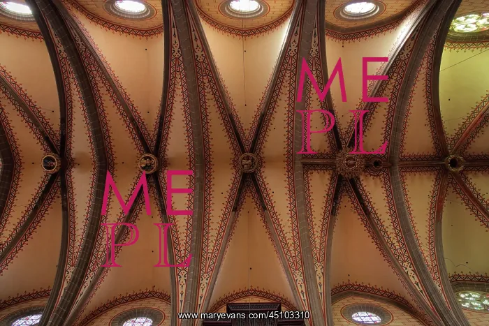  : Vaulted ceiling, Perpignan Cathedral, Pyrenees-Orientales